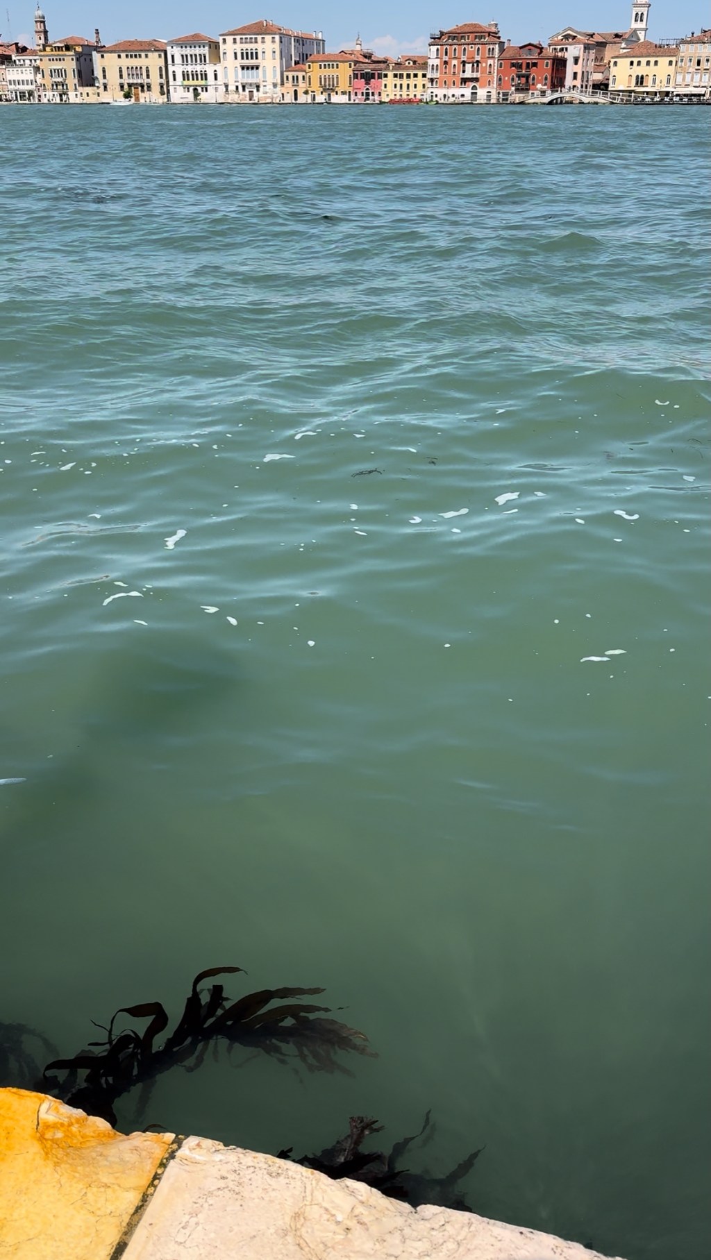 Зеленоглазый католик